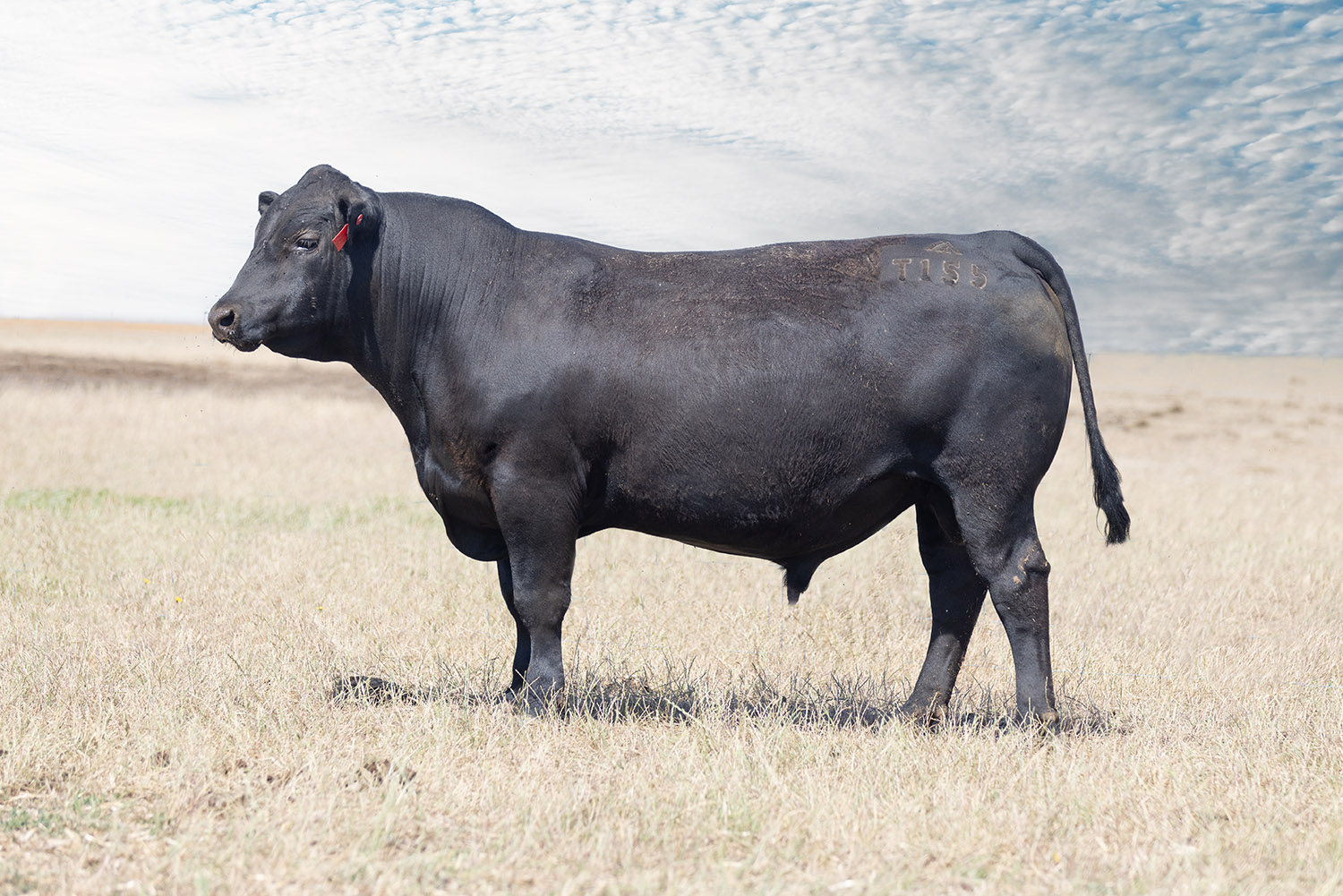 2024 Sale Information